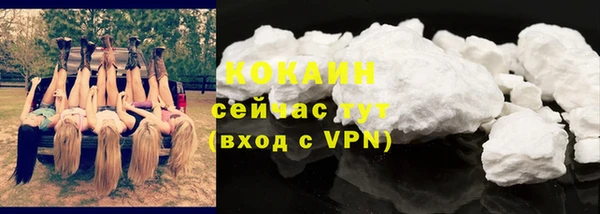дживик Абинск