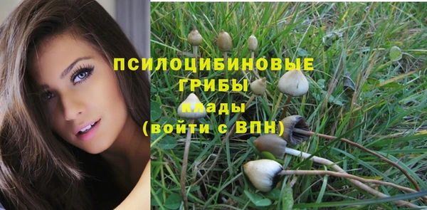 гидра Козельск