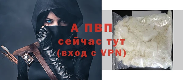 дживик Абинск