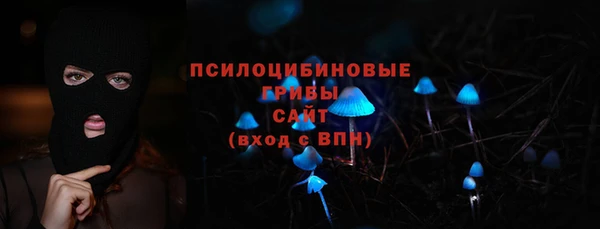 дживик Абинск