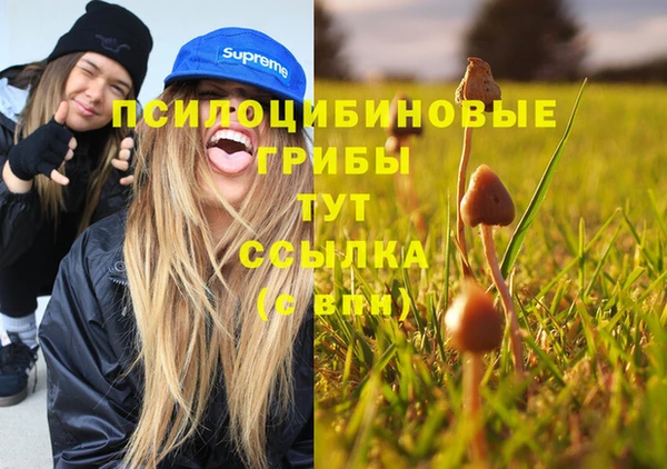 дживик Абинск
