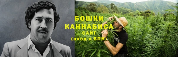 шишки Абдулино