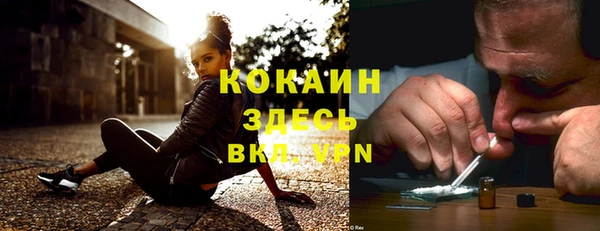 шишки Абдулино