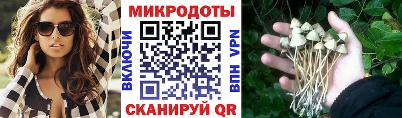 Галлюциногенные грибы Psilocybine cubensis mega сайт Подпорожье